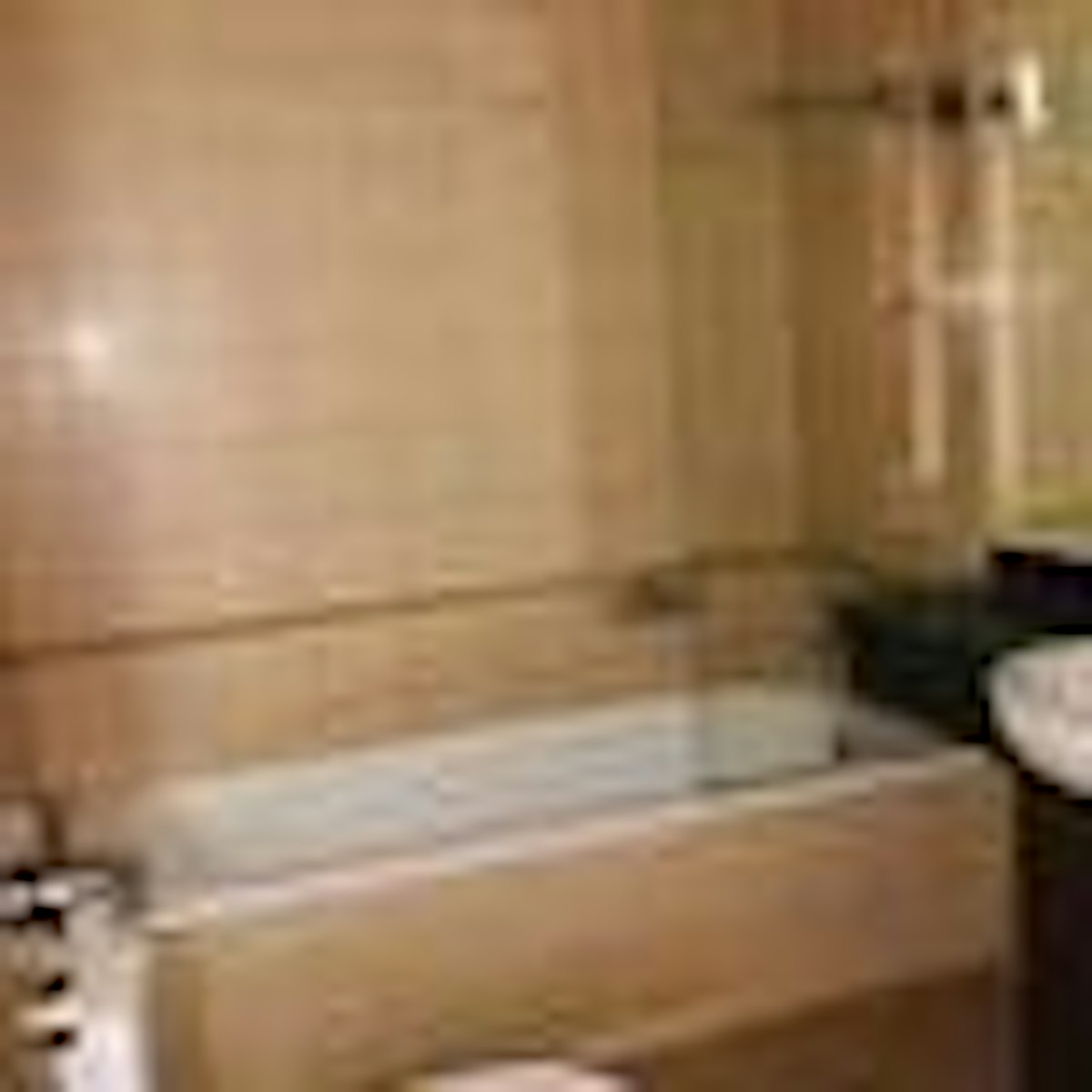 Vacant | 12 Cheques | Park Facing Upgraded Kitchen